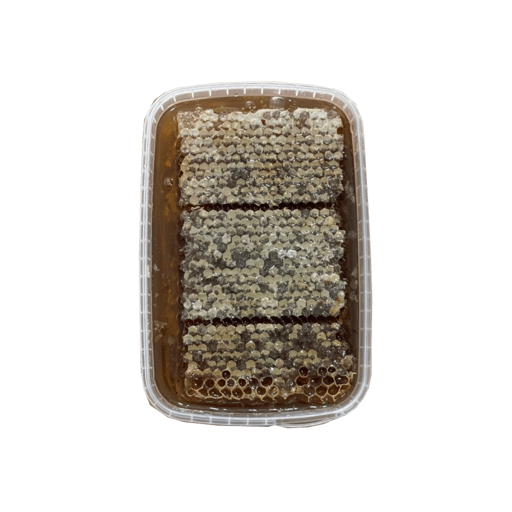 خرید عسل چهل گیاه جنگل با موم 1.5 کیلویی