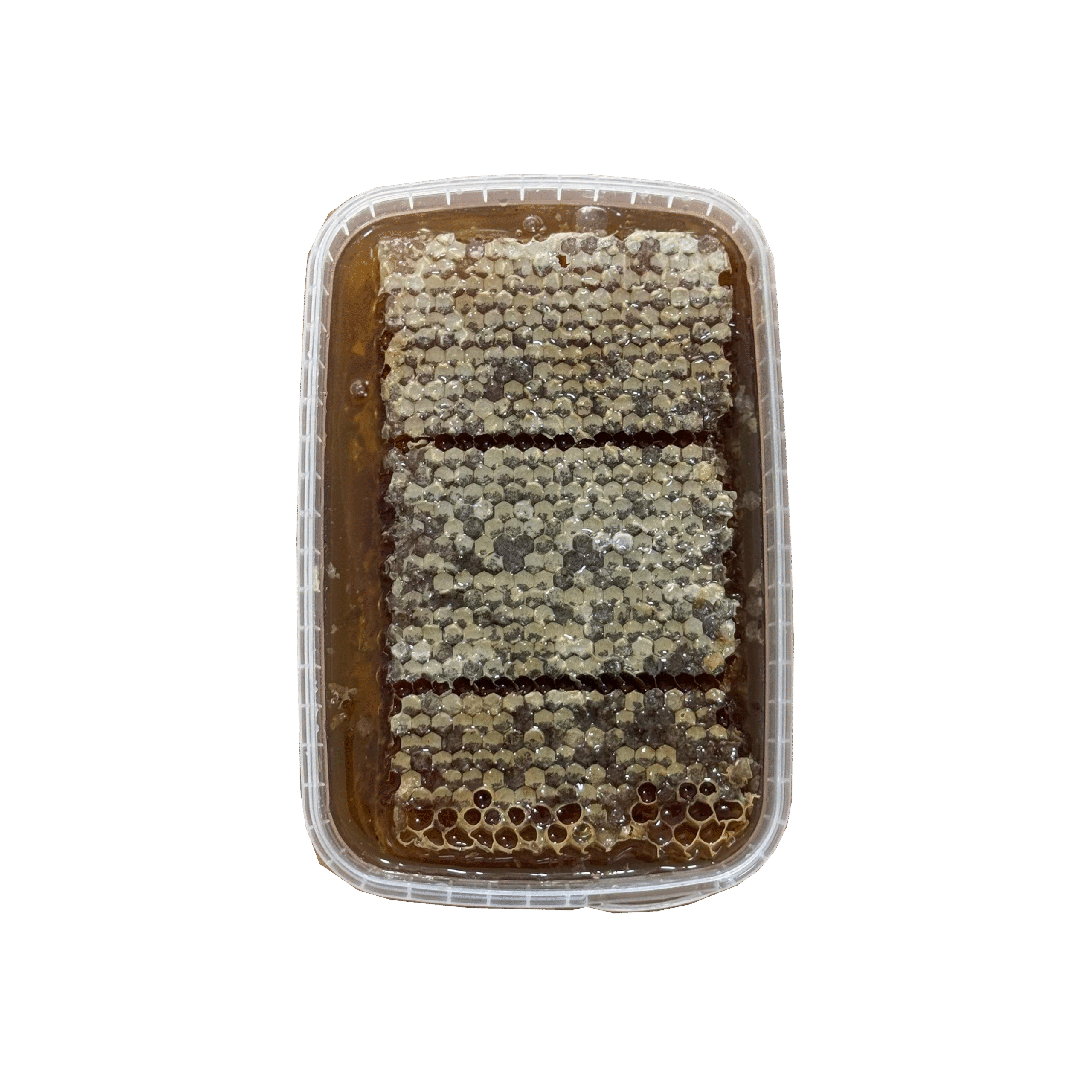 خرید عسل چهل گیاه جنگل با موم 1.5 کیلویی